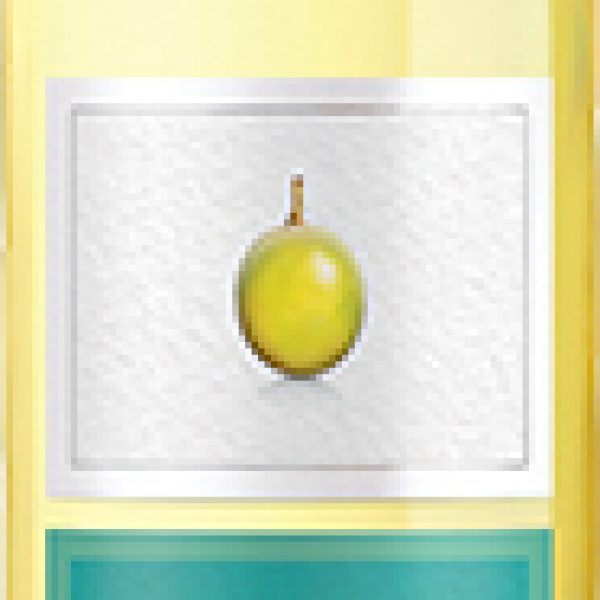 NAKED GRAPE PINOT GRIGIO 750 ML